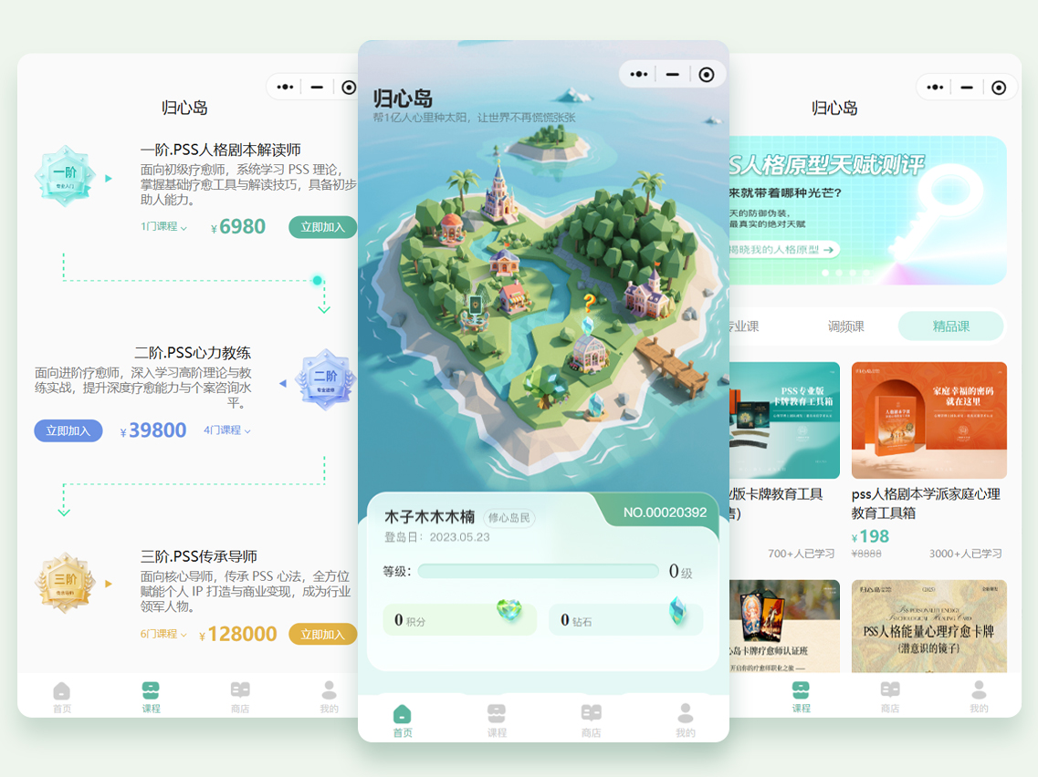 PSS知识体系
